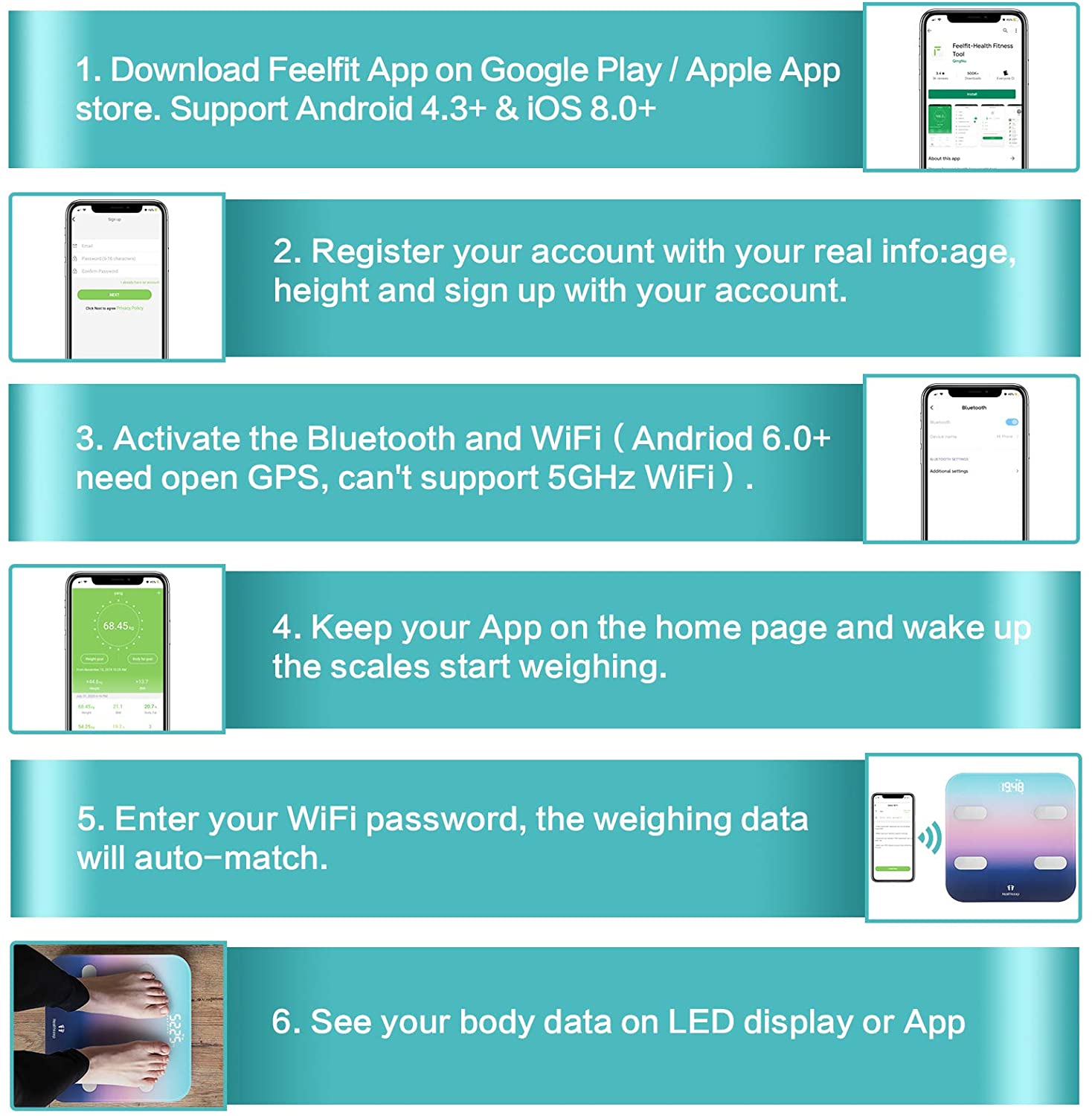 Body Fat Scale WiFi and Bluetooth Connetion